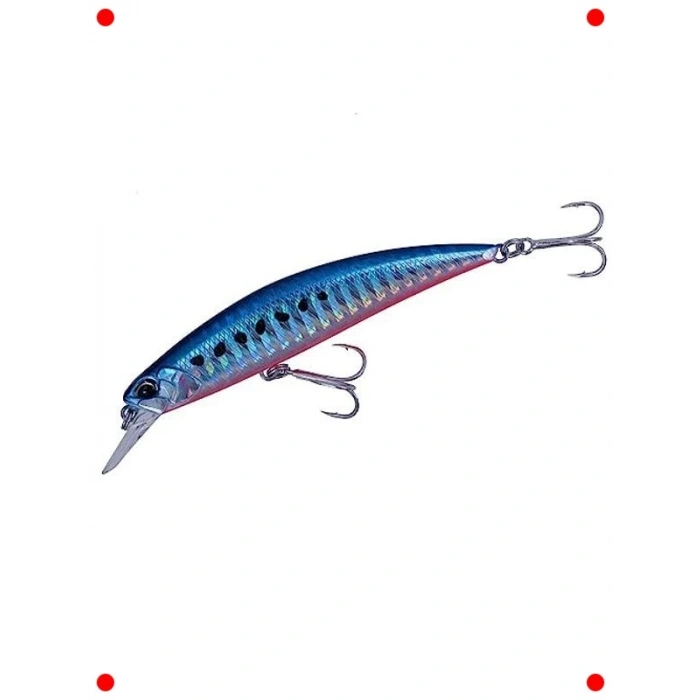 Parlak Zebra Tuzlu Su Yem Balığı