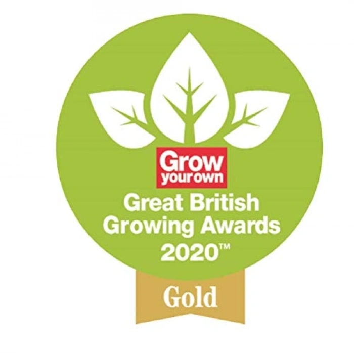 Paslanmaz Çelik Kelle, Dayanıklı ve Uzun Ömürlü