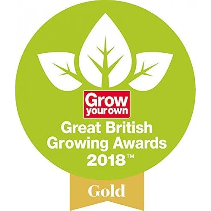 Paslanmaz Çelik Kelle, Dayanıklı ve Uzun Ömürlü