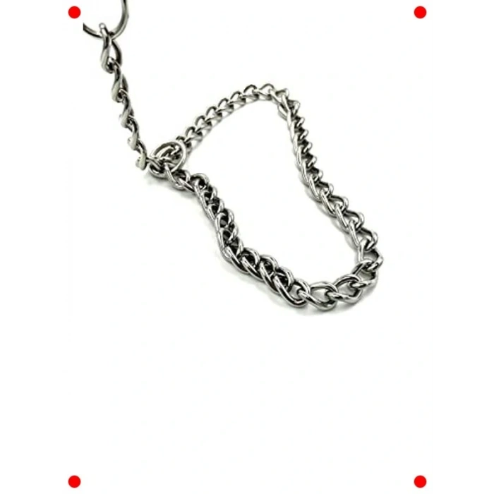 Paslanmaz Çelik Köpek Eğitim Tasması (Gümüş)