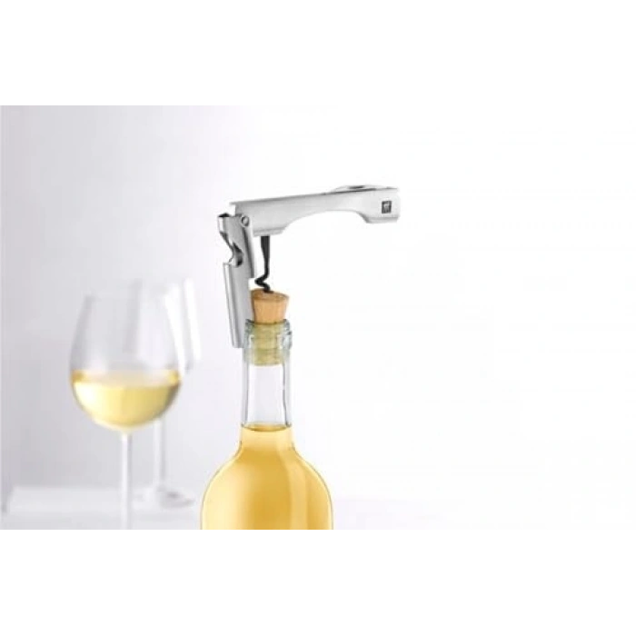 Paslanmaz Çelik Sommelier Tirbuşon, Metalik Gri Tasarım