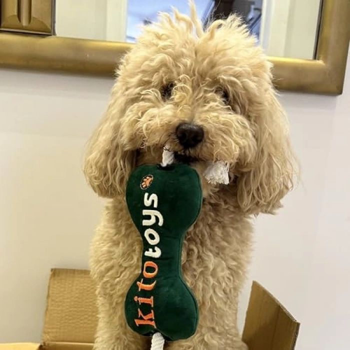 Peluş Kek Şeklinde Köpek Oyuncağı, Eğlenceli