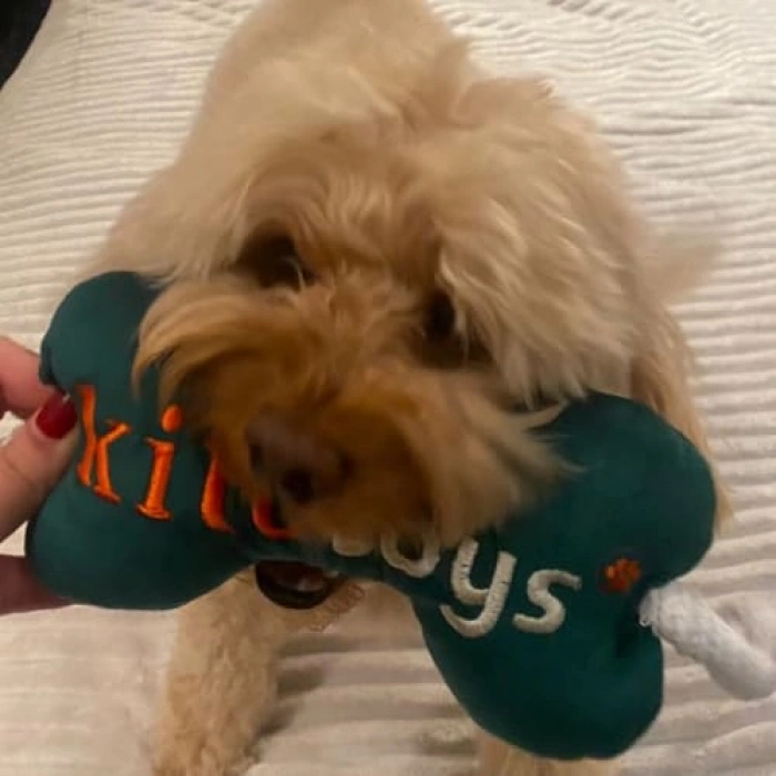 Peluş Kek Şeklinde Köpek Oyuncağı, Eğlenceli