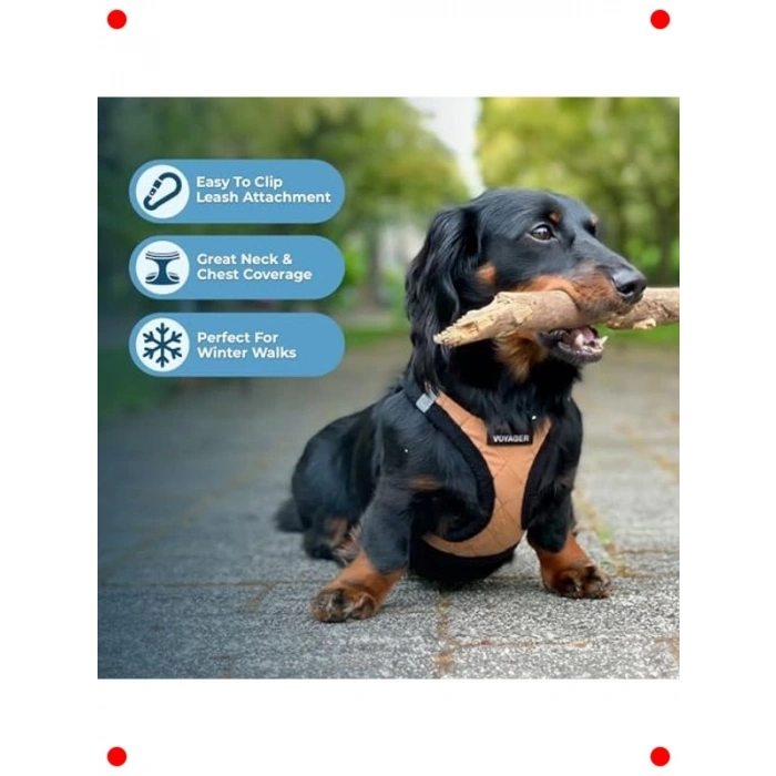 Pelüş Yelek Köpek Koşumu - Bej S Beden