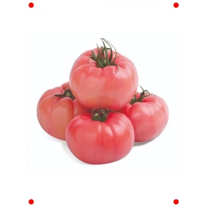 Pembe Domates Tohumu - 100 Adet - Lezzetli & Büyük