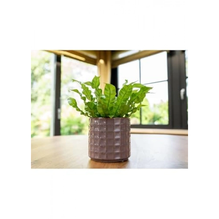 Pembe Saksı 14x13 cm Serak Tasarım