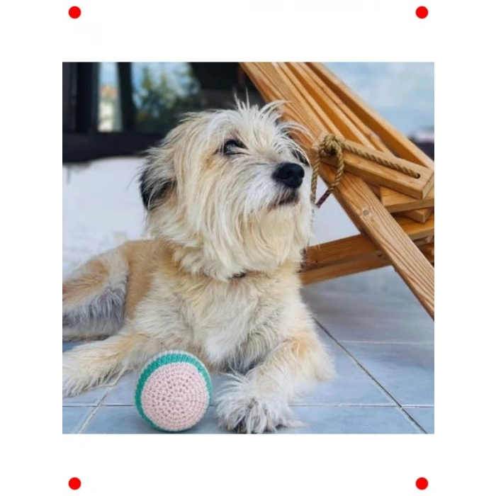 Pofuduk Top Kedi & Köpek Oyuncağı - Doğa Dostu Pamuklu