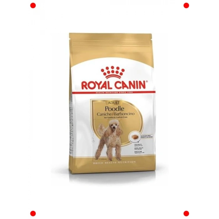 Poodle Irkı Yetişkin Köpek Kuru Maması 3 Kg