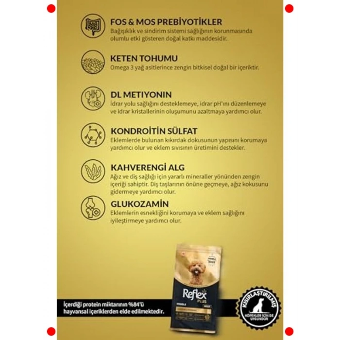 Poodle Irkı Yetişkin Köpek Maması 8 KG