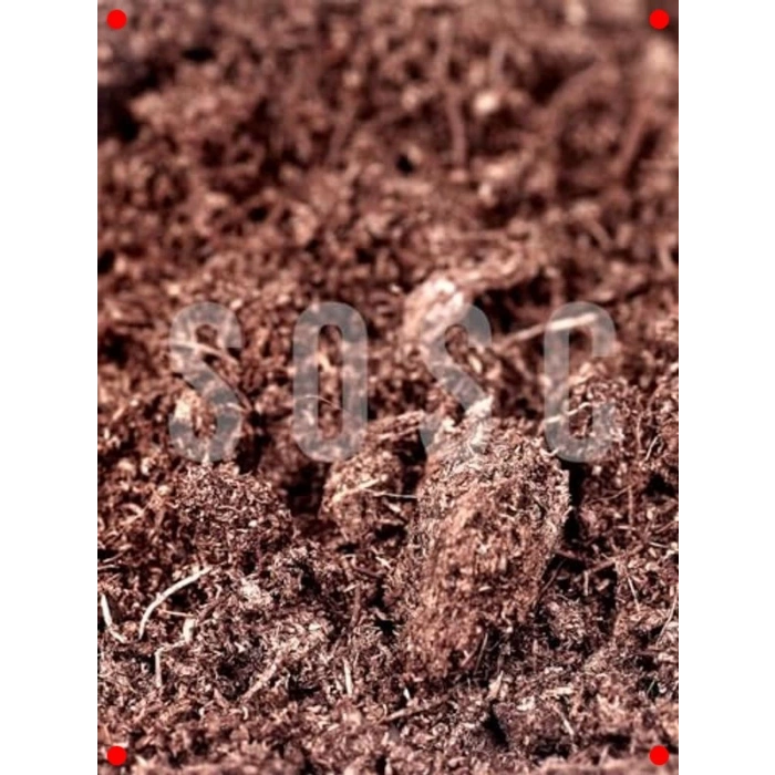 Premium Sphagnum Bitki Torfu - 3 Lt (Böceksiz)