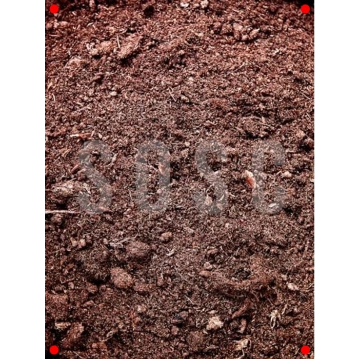 Premium Sphagnum Bitki Torfu - 3 Lt (Böceksiz)