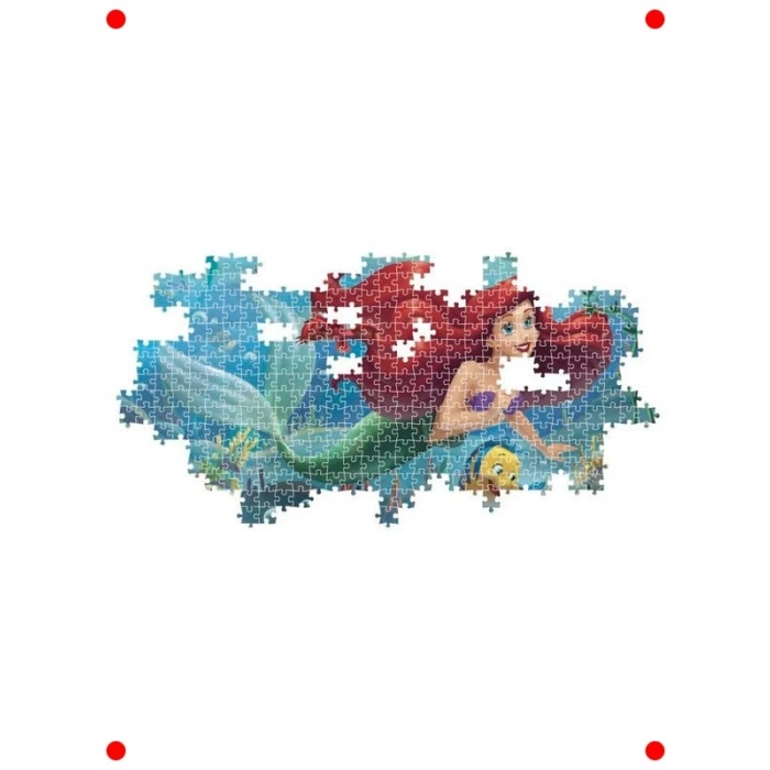 Prenses Temalı Aile Yapbozu - 1000 Parça