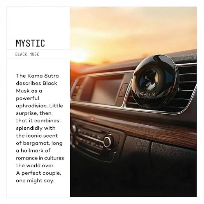 Profesyonel 90 Gün Etkili Araç Kokusu, 2li Set