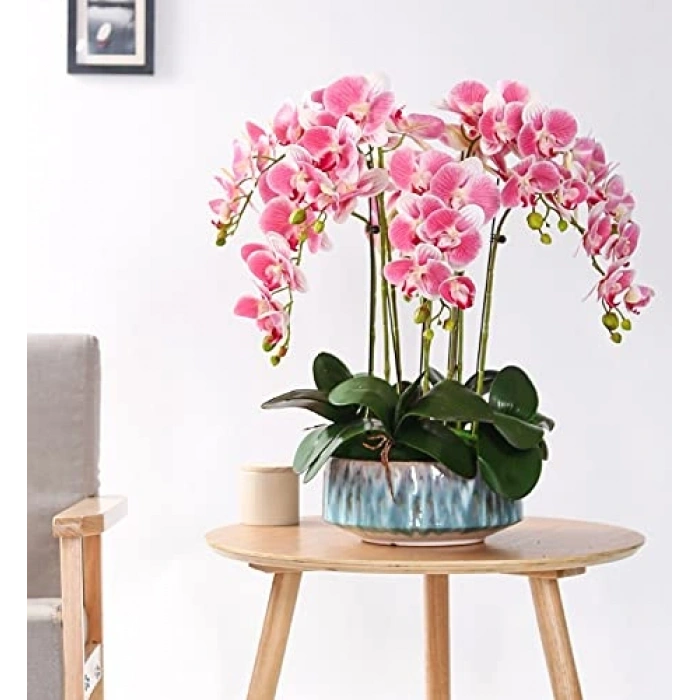 Profesyonel Ahşap Clave, Müzik Aksesuarı