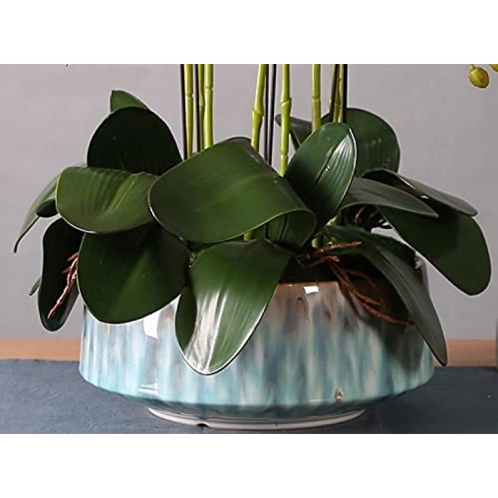 Profesyonel Ahşap Clave, Müzik Aksesuarı