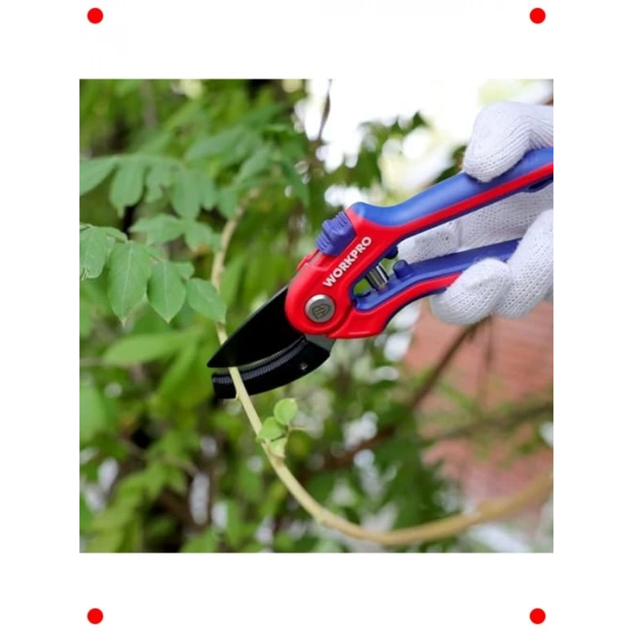 Profesyonel Bağ Bahçe Dal Budama Makası