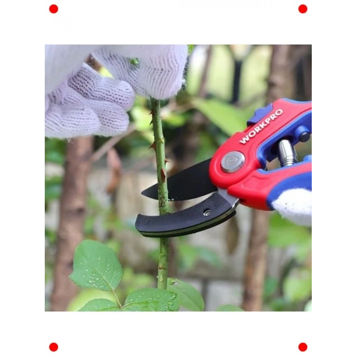 Profesyonel Bağ Bahçe Dal Budama Makası