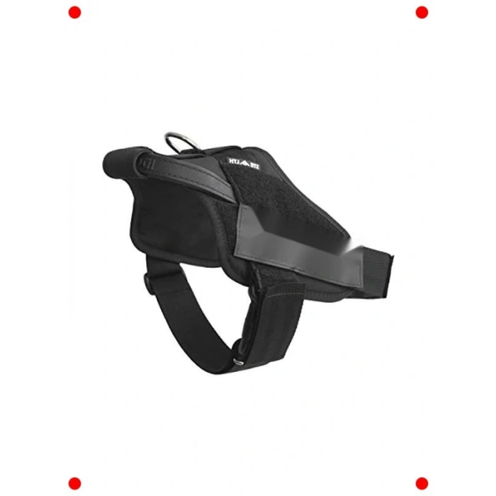 Profesyonel Çalışan Köpek Eğitim Tasması