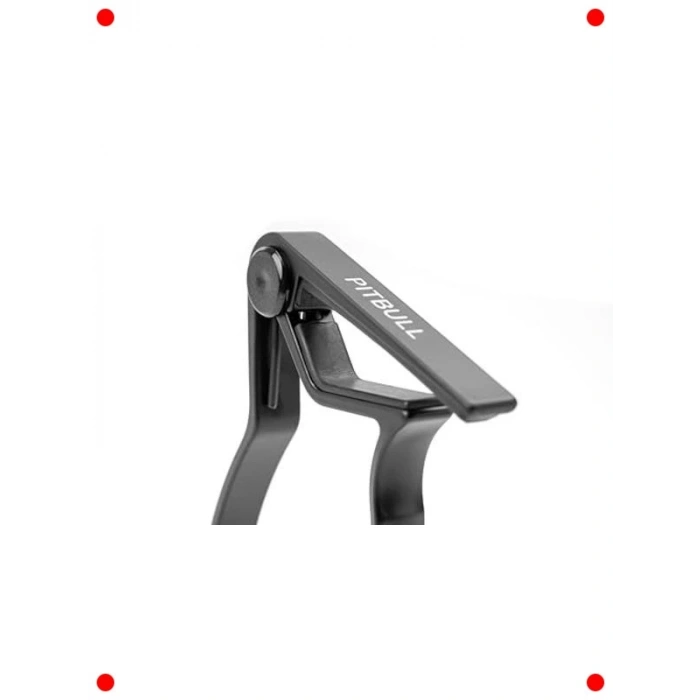 Profesyonel Gitar Kaposu + Hediye Pena