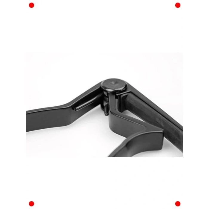 Profesyonel Gitar Kaposu + Hediye Pena