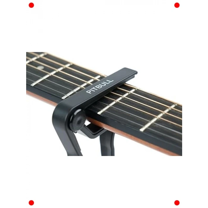 Profesyonel Gitar Kaposu + Hediye Pena