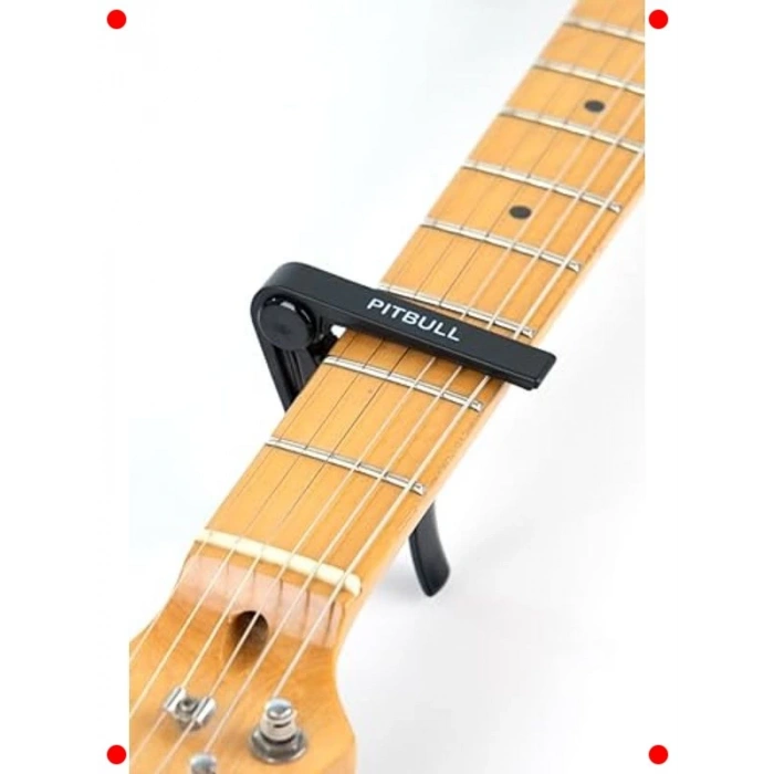 Profesyonel Gitar Kaposu + Hediye Pena