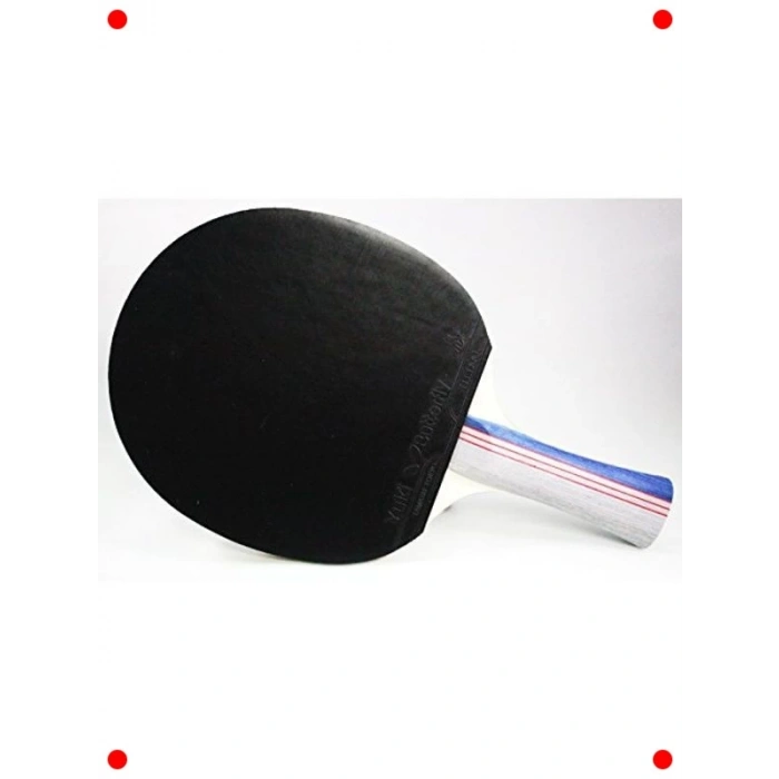 Profesyonel Masa Tenisi Raket Seti - ITTF Onaylı