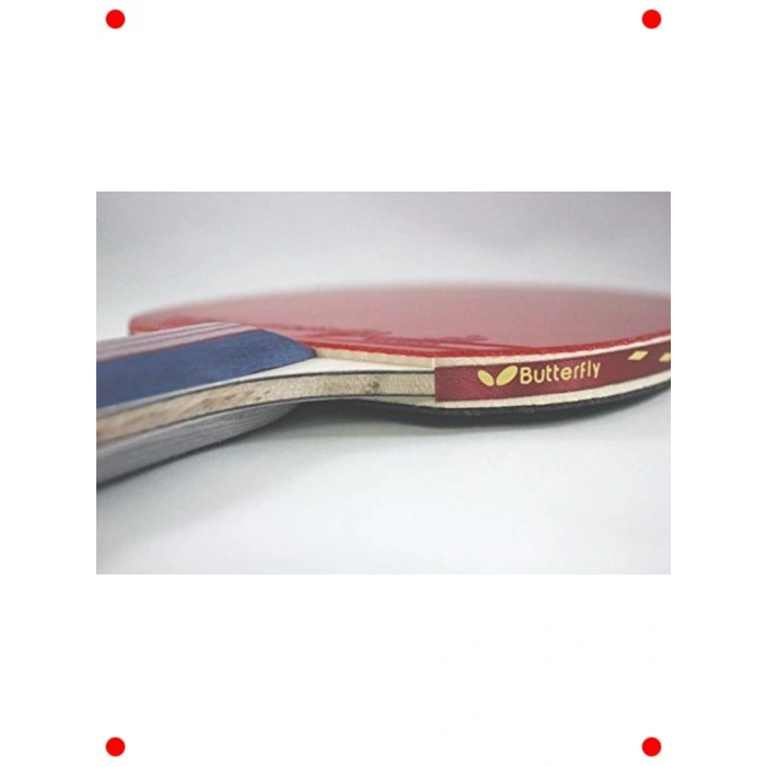 Profesyonel Masa Tenisi Raket Seti - ITTF Onaylı