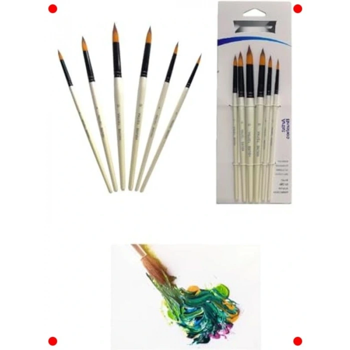 Profesyonel Sanat Fırça Seti (6lı Liner)