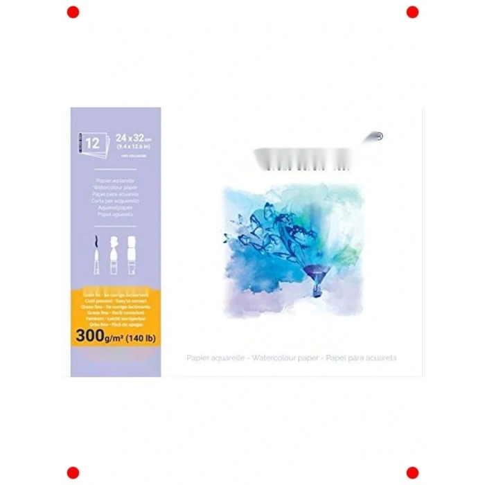 Profesyonel Sulu Bloğu - 300g 24x32 cm