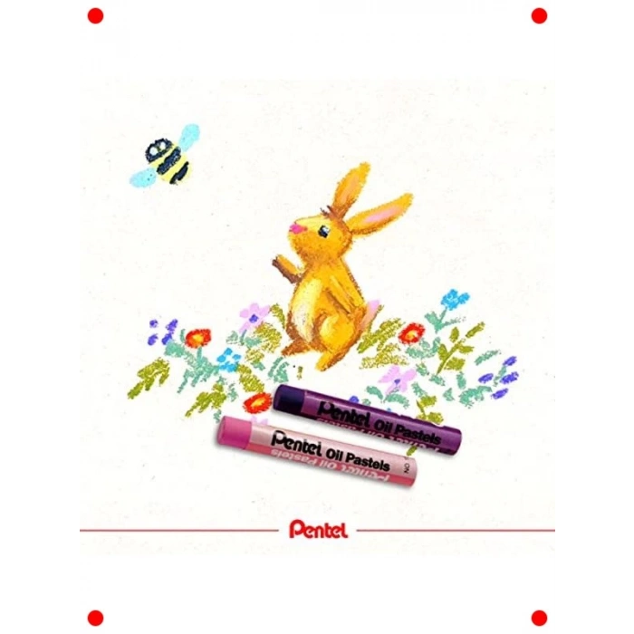 Profesyonel Yağlı Pastel Seti, 50 Canlı Renk