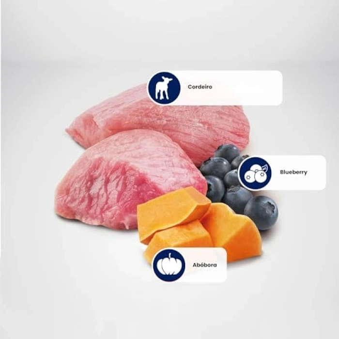 Pumpkin Konserve Kuzu & Yabanmersini ni