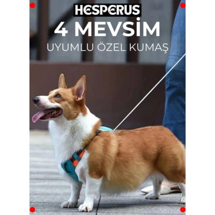 Rahat Köpek Göğüs Tasması: Otomatik Toplama Özelliği (XL)