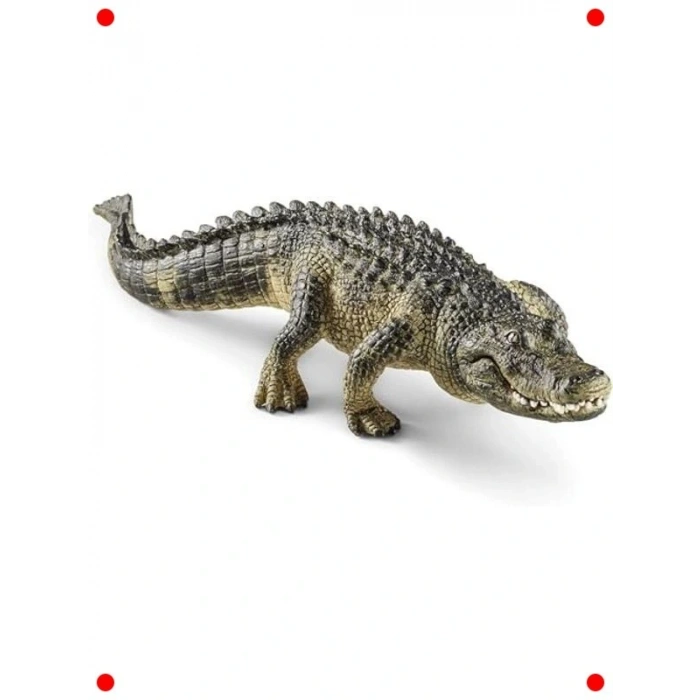 rçekçi Timsah Hvan Figürü - Eğitim ve Oyun