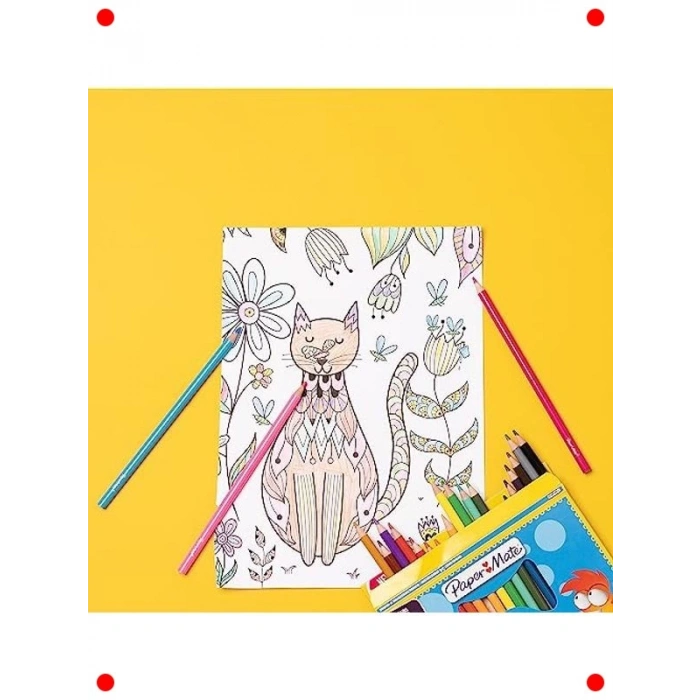 Renkli Kuru Boya Kalemi Seti (12li)