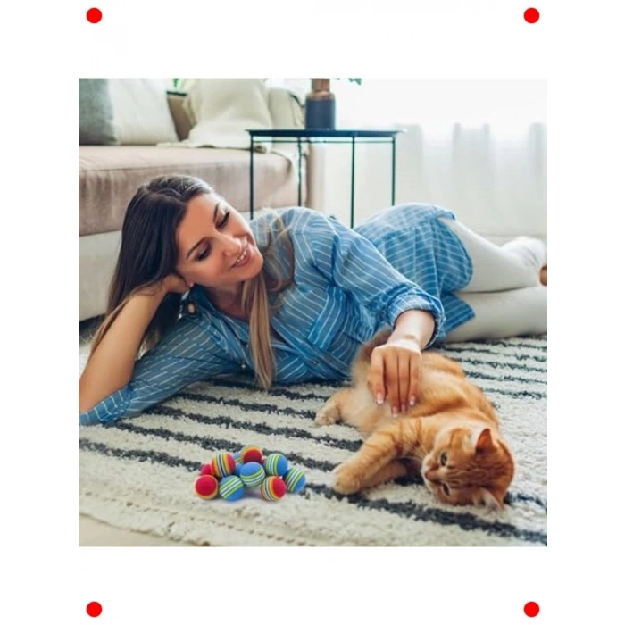 Renkli Sünger Kedi Oyuncak Topları 4lü Set