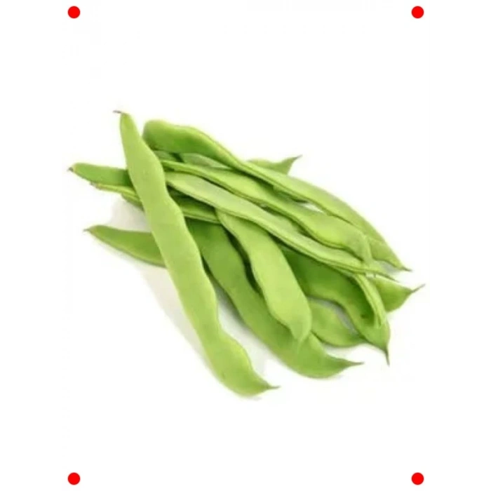 Romano Oturak Fasulye Tohumu (25 gr) - İdeal Lezzet