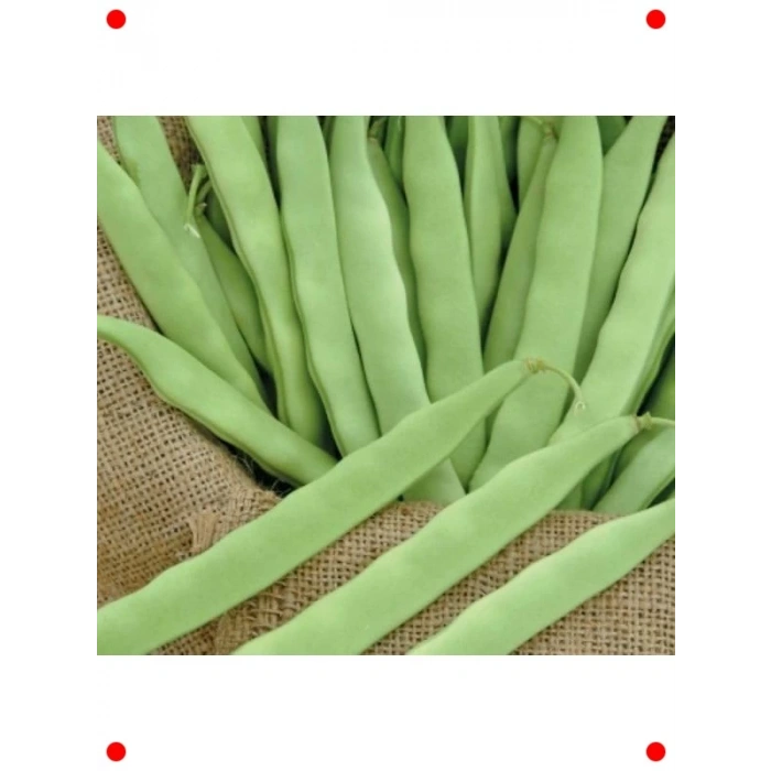 Romano Oturak Fasulye Tohumu (25 gr) - İdeal Lezzet