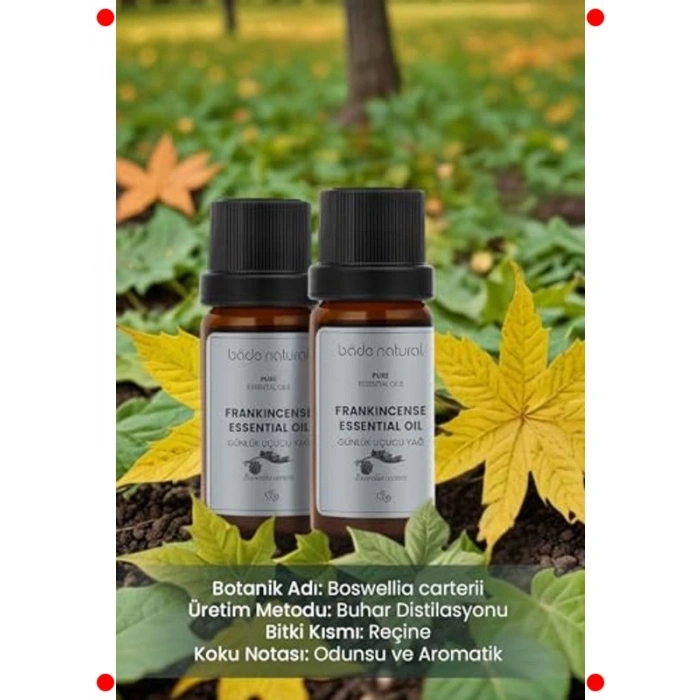 Saf Sığla (Günlük) Uçucu Yağı 10 ml