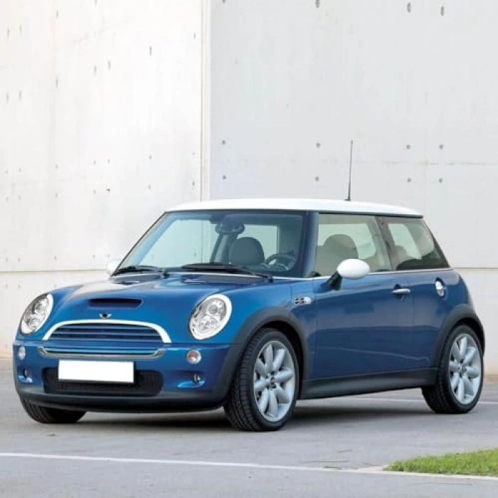 Sağ Sol Motor Ön Kaput Amortisörü Pistonu, Cooper S R53 Uyumlu