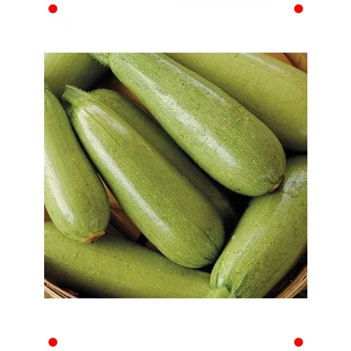 Sakız Kabağı Tohumu (Çoklu Paket, 10 Gram)