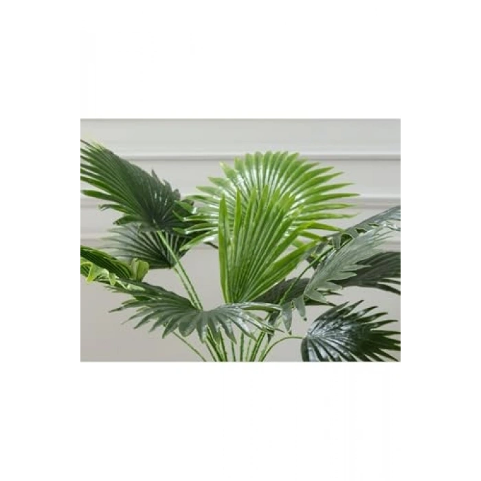 Saksılı Bitki, Madame Coco Tasarımı