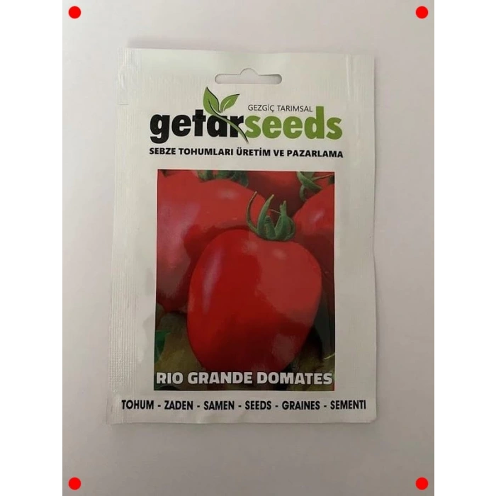 Salçalık Domates Tohumu - Verimli Hasat