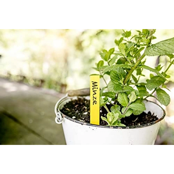 Sarı Ahşap Bitki Etiketi, 25li Set