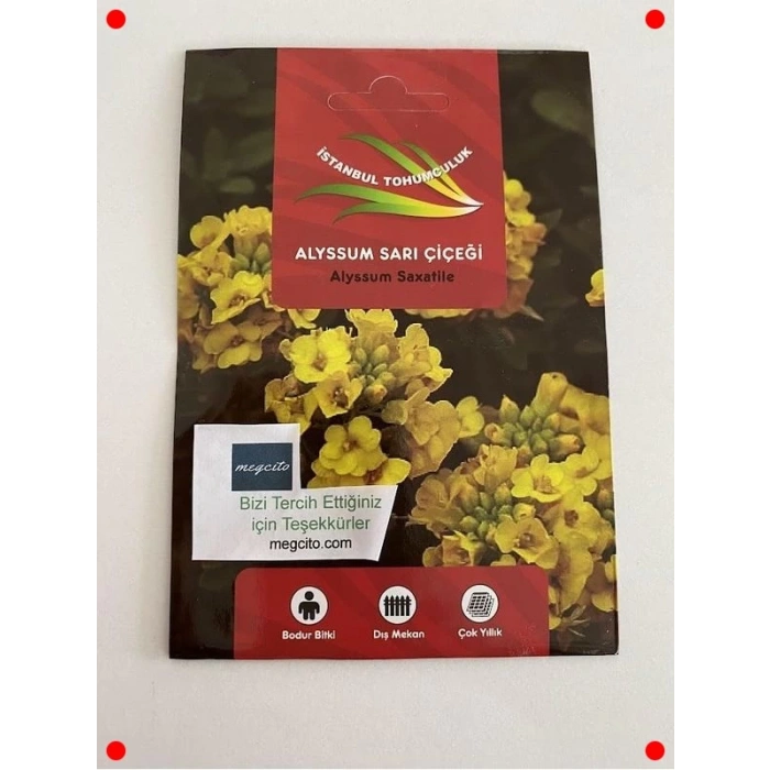 Sarı Alyssum Tohumu - 250 Adet
