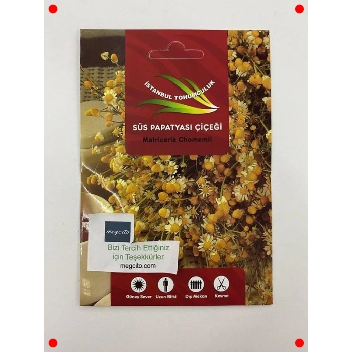 Sarı Papatya Çiçeği Tohumları - 200 Adet