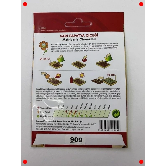 Sarı Papatya Çiçeği Tohumları - 200 Adet