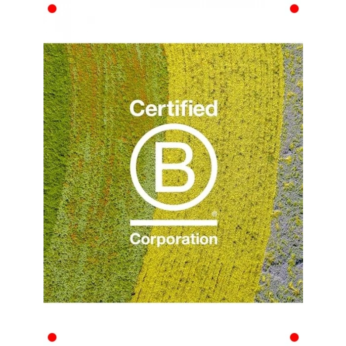 Sarı Saçlar İçin Nazik Şampuan 250 ml