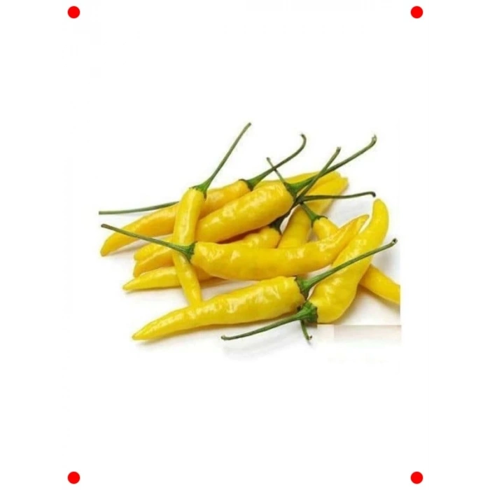 Sarı Süs Biberi Tohumu - Bahçenizde Renkli Güzellik