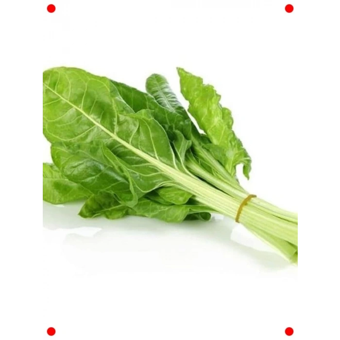 Sarmalık Pazı Tohumu - Geniş Yapraklı ve Lezzetli